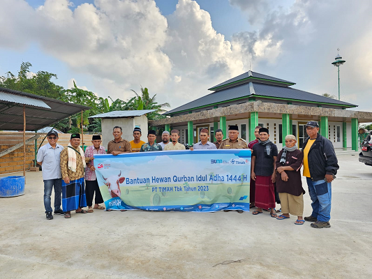 PT Timah Tbk Salurkan Bantuan Hewan Kurban di Pulau Belitung. (Foto: Dok istimewa)