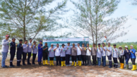 Peringati Hari Mangrove Sedunia, PT Timah Tbk Tanam 5000 Mangrove di Pantai Menuang