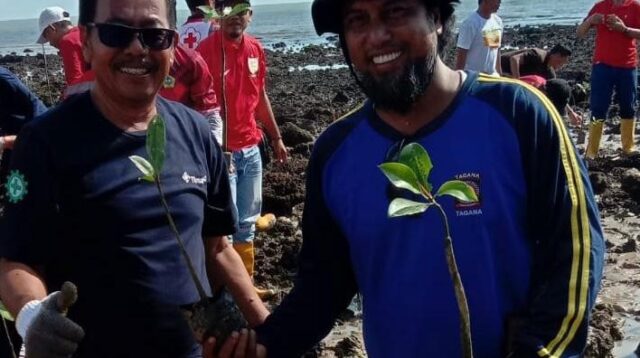 PT Timah Tbk Dukung Kegiatan Penanaman 1000 Mangrove Bersama Dinas Perikanan Kabupaten Karimun