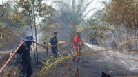 PT Timah Tbk Sigap Mengirim Pemadam Kebakaran Karena Kebakaran Lahan Marak Di Bangka Belitung. (Foto: PT Timah.com)