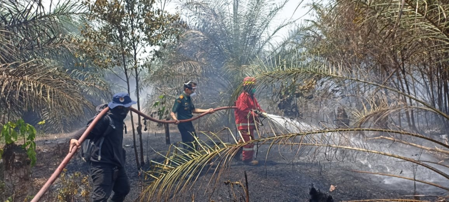 PT Timah Tbk Sigap Mengirim Pemadam Kebakaran Karena Kebakaran Lahan Marak Di Bangka Belitung. (Foto: PT Timah.com)