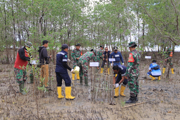 PT Timah Tbk kembali menanam mangrove di wilayah Kundur, Kabupaten Karimun.