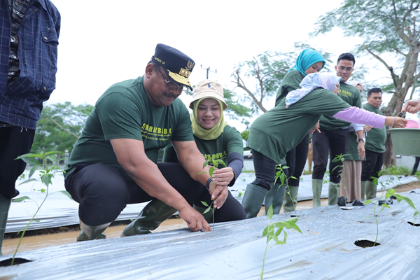 Salah satu pendekatan Penjabat (Pj) Gubernur Kep. Babel Safrizal ZA untuk mengurangi angka inflasi adalah penggunaan dan penanaman komoditas pangan