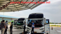 Jadwal dan Harga Tiket Bus Jakarta-Palembang Bulan Ini! Perjalanan Seru dengan Budget Terjangkau Mulai 200 Ribu!