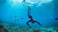 Bukan Tanjung Kelayang, Ini Dia Tempat Wisata Pantai Babel Untuk Snorkeling Saat Libur Lebaran