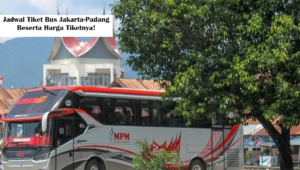 Jadwal Tiket Bus Jakarta-Padang Beserta Harga Tiketnya!