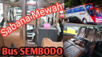 Sabana Mewah! Jadwal dan Harga Tiket PO Bus Sembodo Rute Padang - Jakarta Hari Rabu 23 Mei 2024
