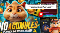 Cara Terbaru Bermain Hamster Kombat 2024! Game Kripto yang Sedang Viral Yang Bisa Menghasilkan Uang 5 Juta Sehari! (Foto: Yt)