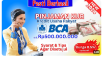 Cara Mudah Mendapatkan Pinjaman KUR dari Bank BCA dengan Bunga Terendah (Foto: YT Tutorial Gampang)