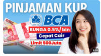 Sisa Kuota KUR BCA Agustus 2024! Jangan Lewatkan Kesempatan Pinjaman Ini! Berikut Syarat dan Tipsnya!